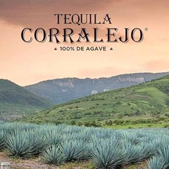 Reposado Tequila Corralejo Empty 1000ml Collectible Bottle! - Picture 12 of 16